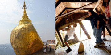 zero gravity places on earth