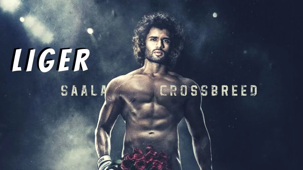 Liger Movie Review Mechieboy